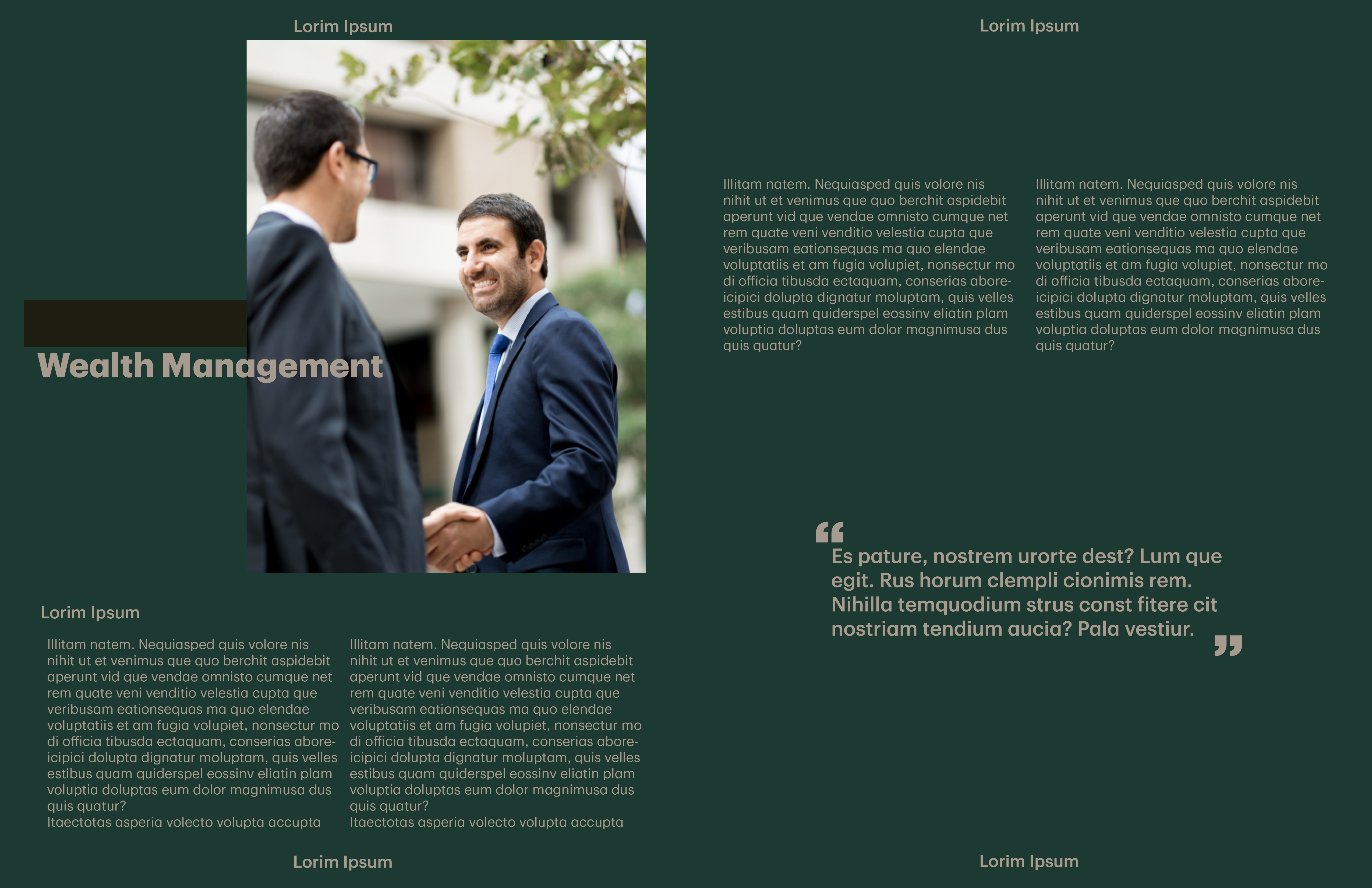 TD process work taupe layout study